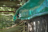  2007-12-10 14.59.11.JPG 
